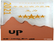 王力安防榮獲2021“年度影響力品牌”