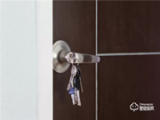 揚子智能鎖:安全性依舊是用戶關注的焦點