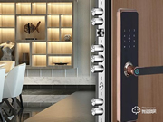 德施曼云智能鎖：引領行業(yè)未來發(fā)展新態(tài)勢