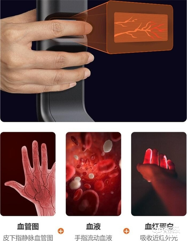 多種技術(shù)并行 智能門(mén)鎖產(chǎn)品及市場(chǎng)現(xiàn)狀盤(pán)點(diǎn) 多種技術(shù)并行 智能門(mén)鎖產(chǎn)品及市場(chǎng)現(xiàn)狀盤(pán)點(diǎn)