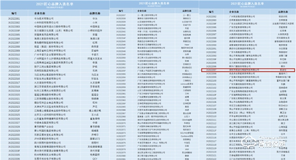 智能鎖行業唯一入選品牌！Kaadas凱迪仕勇奪2021“匠心品牌”稱號！