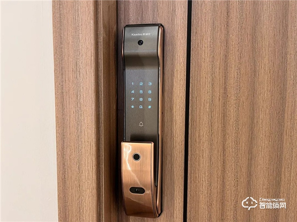 凱迪仕智能鎖擁有專屬“千里眼”，有了它，24h家門安全隨時看得見~