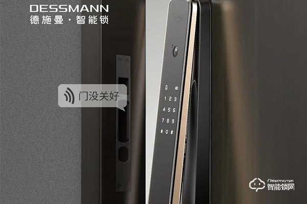 德施曼智能鎖加盟 德施曼智能鎖加盟