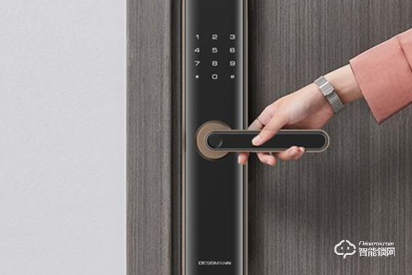 德施曼指紋鎖怎么樣