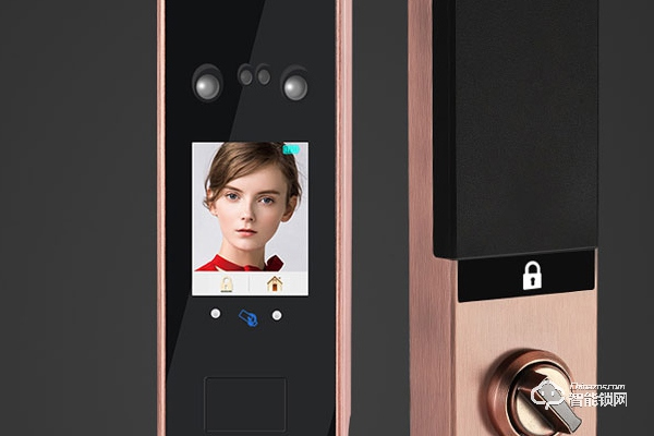 愛獅盾智能鎖是不是十大品牌