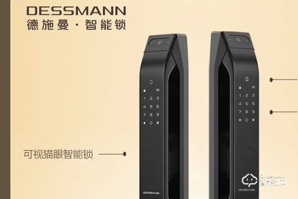 德施曼智能鎖排名第幾