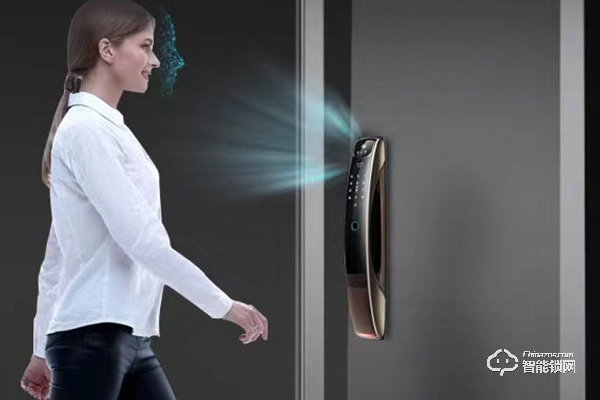 麗水德施曼智能鎖加盟代理 麗水德施曼智能鎖加盟代理