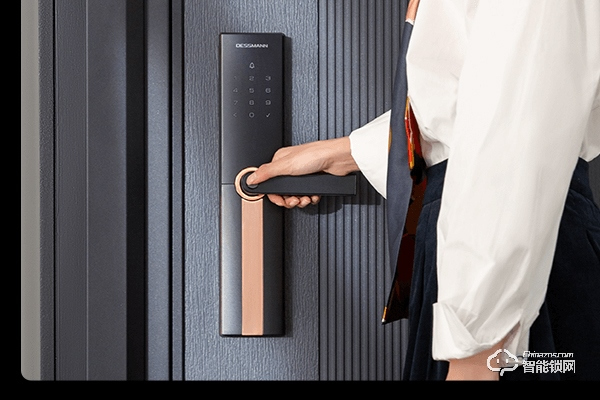 德施曼智能鎖代理加盟 德施曼智能鎖代理加盟