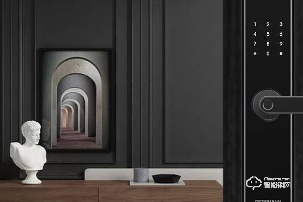 德施曼智能鎖加盟價格 德施曼智能鎖加盟價格