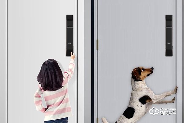 艾西智能鎖代理怎么樣