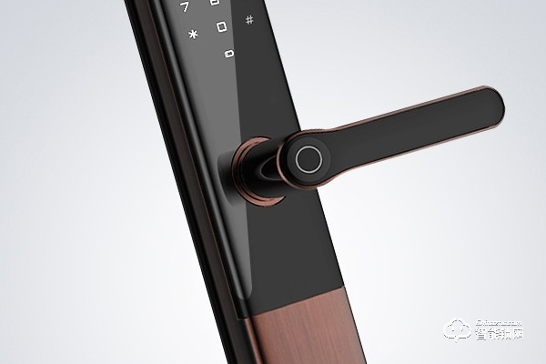 專(zhuān)業(yè)的指紋鎖品牌加盟