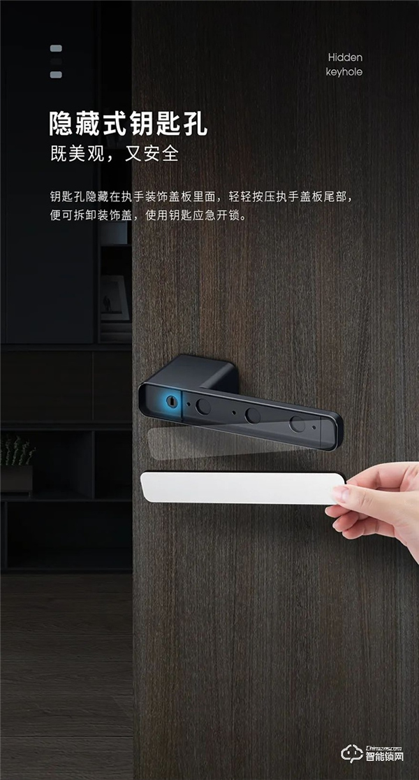 頂固隱系列一體式機械鎖|巧隱于門,和諧美觀 頂固隱系列一體式機械鎖|巧隱于門,和諧美觀