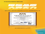 國際品質(zhì) 大牌實力│皇家金盾人臉鎖再次順利通過ISO9001質(zhì)量管理體系認證