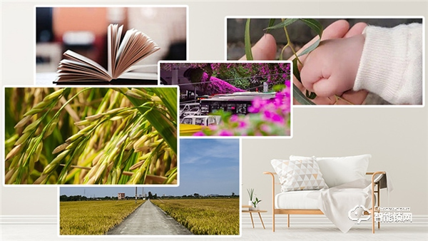 Gleewell格里維爾｜你發現了嗎？所有治愈的美好，都藏在生活的細節里