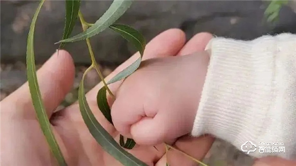 Gleewell格里維爾｜你發現了嗎？所有治愈的美好，都藏在生活的細節里