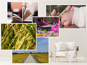 Gleewell格里維爾|你發(fā)現(xiàn)了嗎?所有治愈的美好,都藏在生活的細(xì)節(jié)里