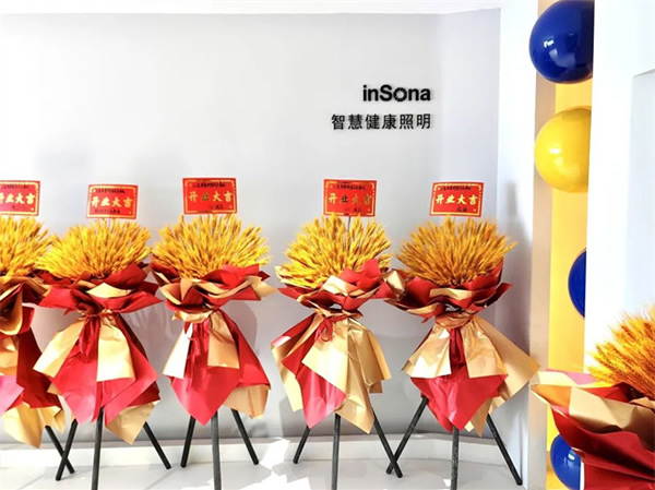 乘風破浪 揚帆啟航 | inSona重慶駐點正式開業