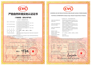 權威認證！德施曼智能鎖斬獲迪拜極端環境認證