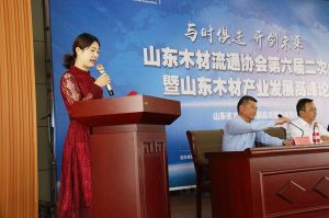 2017山東木材流通協會