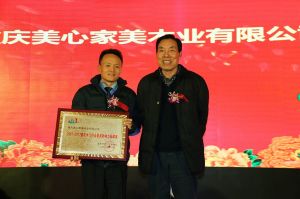 2017重慶木門協會十周年