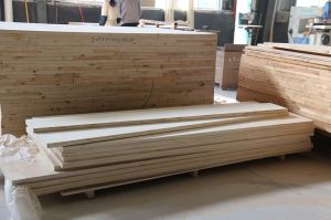 2018參觀金皇朝木門