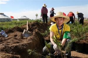 百德帶領大家伙植樹